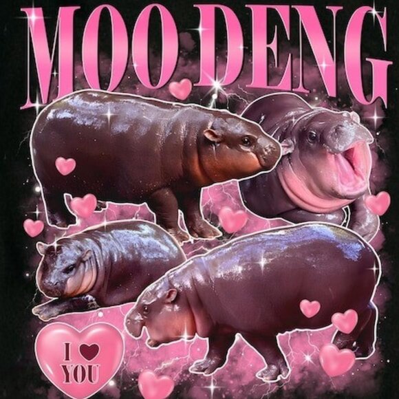 Moo Deng Bootleg Rap Shirt, Moo Deng Shirt - Picture 2 of 4